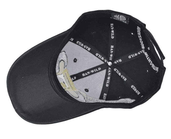 Airborne Division Baseball Cap