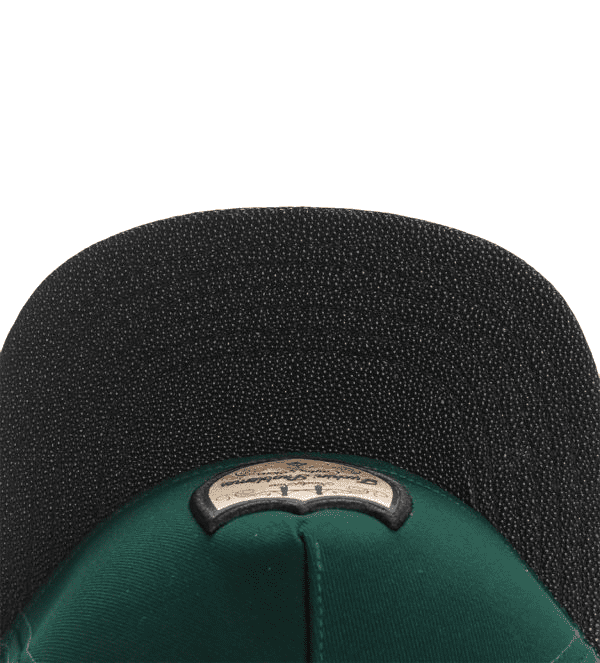Cayler & Sons Green Snapback Cap