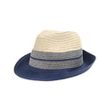 Coltrane Striped Straw Trilby Hat