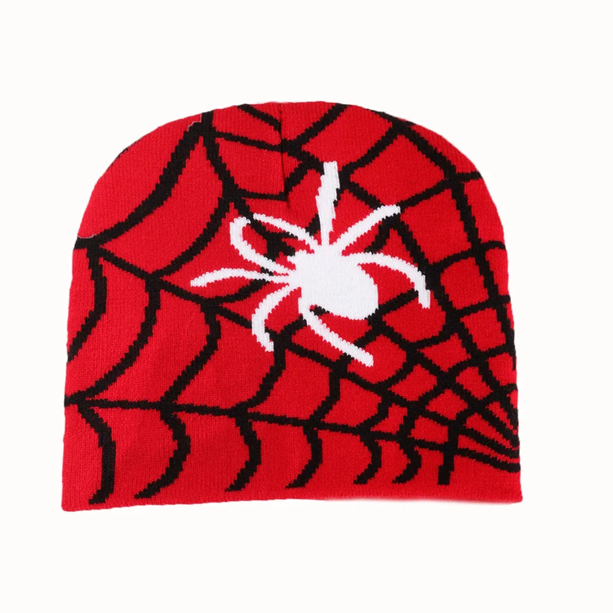 Spider Web Halloween Beanie